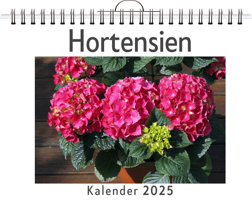 Hortensien - (Wandkalender 2025, Kalender DIN A4 quer, Monatskalender im Querformat mit Kalendarium, das perfekte Geschenk) - Charlotte Hartmann