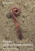 Cover-Bild zum Titel 'Bildatlas der Regenwurmbestimmung' von 'Stefanie Krück'