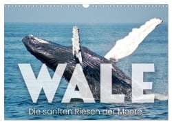 Cover-Bild zum Titel 'Wale - Die Riesen der Meere. (Wandkalender 2027 DIN A3 quer), CALVENDO Monatskalender' von 'Sf'
