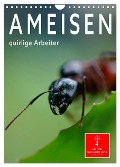 Ameisen quirlige Arbeiter (Wandkalender 2024 DIN A4 hoch), CALVENDO Monatskalender - Peter Roder