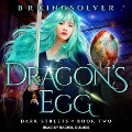 Dragon's Egg - B. R. Kingsolver