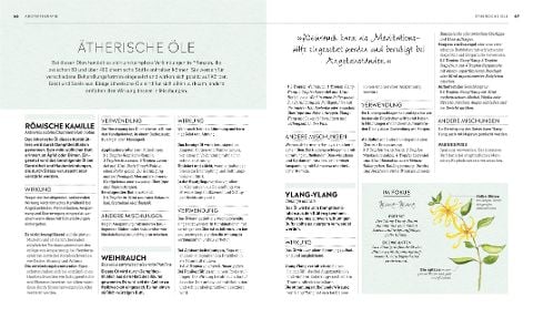 InsideView 6