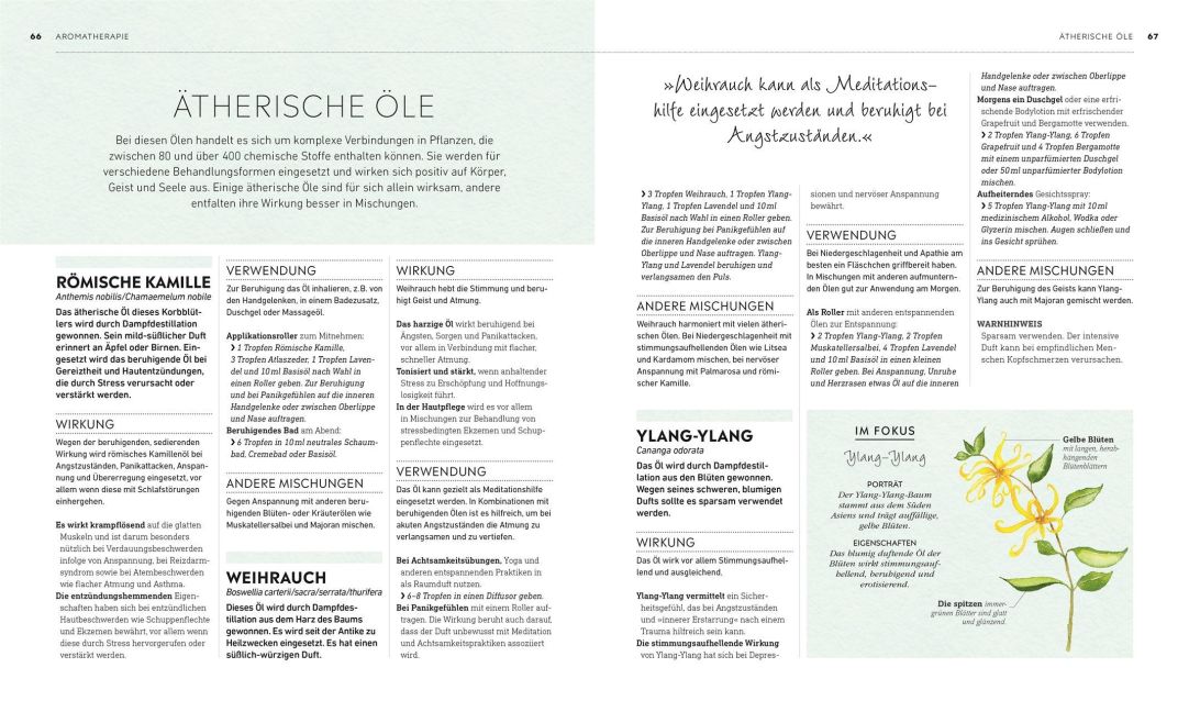 InsideView 6
