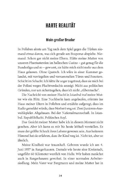InsideView 5
