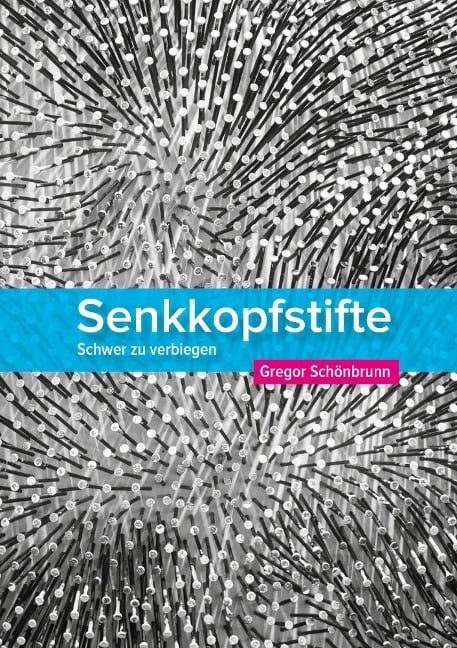 Senkkopfstifte - Gregor Schönbrunn