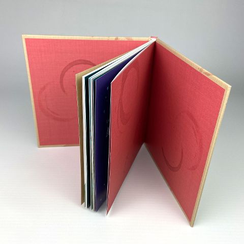 InsideView 4