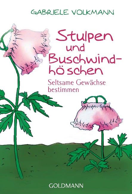 Stulpen und Buschwindhöschen - Gabriele Volkmann