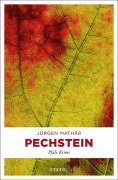 Cover-Bild zum Titel 'Pechstein' von 'Jürgen Mathäß'