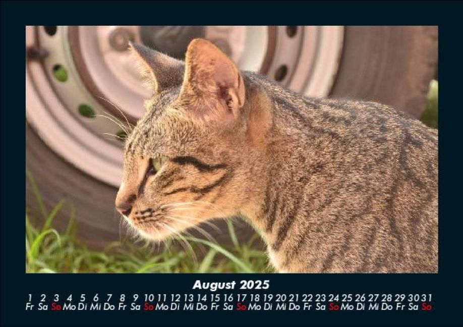 InsideView 12