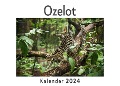 Ozelot (Wandkalender 2024, Kalender DIN A4 quer, Monatskalender im Querformat mit Kalendarium, Das perfekte Geschenk) - Anna Müller