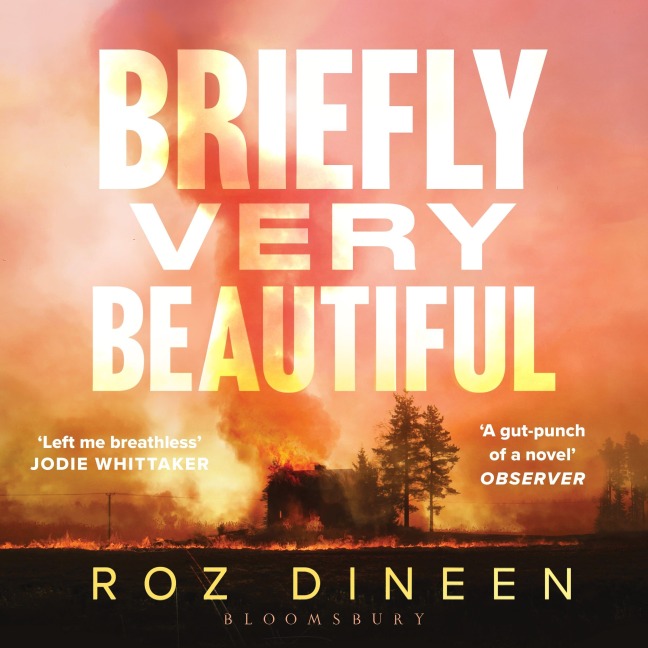 Briefly Very Beautiful - Roz Dineen