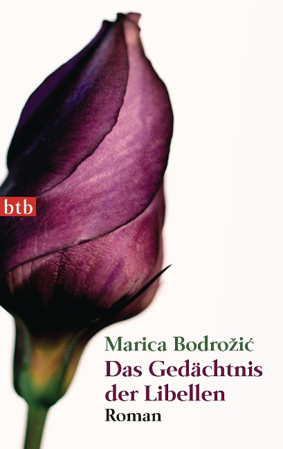 Das Gedächtnis der Libellen - Marica Bodrozic