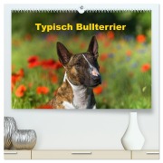 Typisch Bullterrier (hochwertiger Premium Wandkalender 2026 DIN A2 quer), Kunstdruck in Hochglanz - Yvonne Janetzek