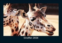 Cover-Bild zum Titel 'Giraffen 2026 Fotokalender DIN A5' von 'Tobias Becker'
