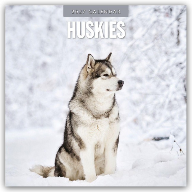 Huskies - Husky - Huskys 2027 - 16-Monatskalender - Robin Red
