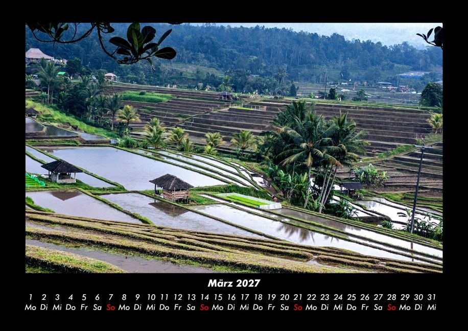 InsideView 7