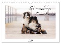 Herzensshelties - Shetland Sheepdogs (Wandkalender 2025 DIN A4 quer), CALVENDO Monatskalender - Madlen Kudla