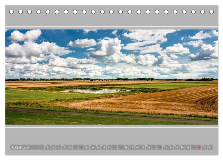 InsideView 13