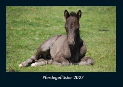 Cover-Bild zum Titel 'Pferdegeflüster 2027 Fotokalender DIN A4' von 'Tobias Schmitt, Kevin Heber'