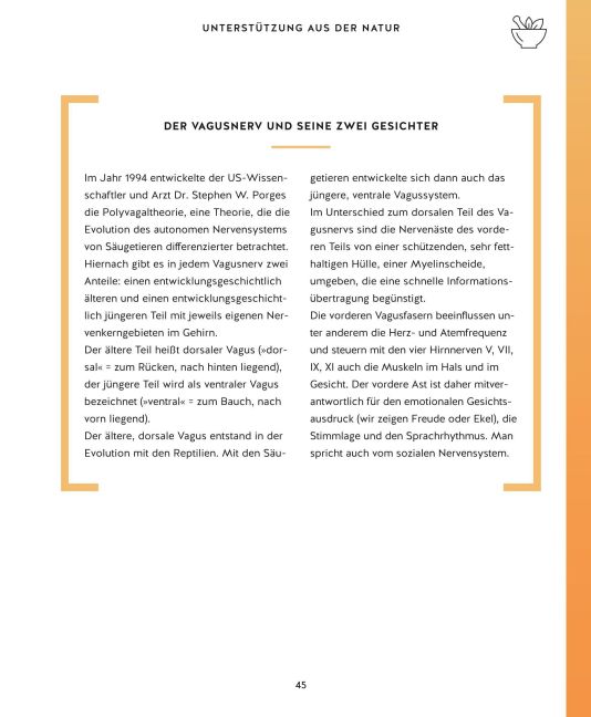 InsideView 48