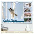 Spatzen-Kalender (hochwertiger Premium Wandkalender 2024 DIN A2 quer), Kunstdruck in Hochglanz - Marianne Drews