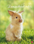 Cover-Bild zum Titel 'Kaninchenkinder Posterkalender 2026' von ''