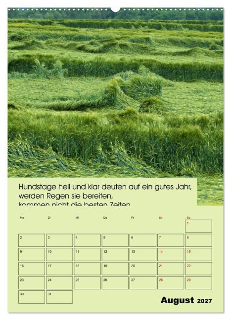 InsideView 12