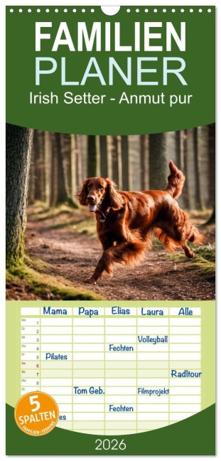 Familienplaner 2026 - Irish Setter - Anmut pur mit 5 Spalten (Wandkalender, 21 x 45 cm) CALVENDO - Claudia Kleemann