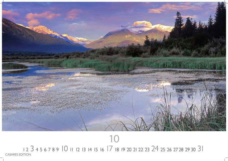 InsideView 10