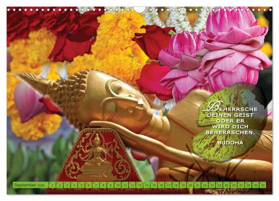 InsideView 14