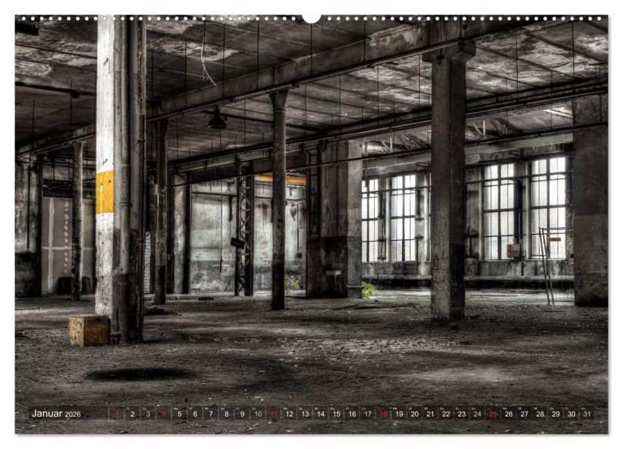 InsideView 5