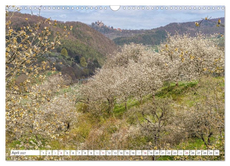 InsideView 9