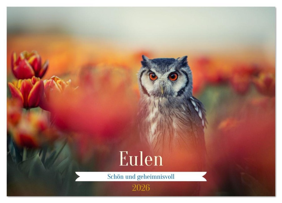 Eulen - schön und geheimnisvoll (Wandkalender 2026 DIN A4 quer), CALVENDO Monatskalender - Tanja Brandt