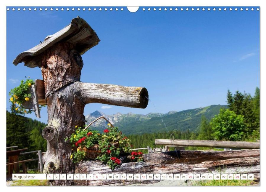 InsideView 13
