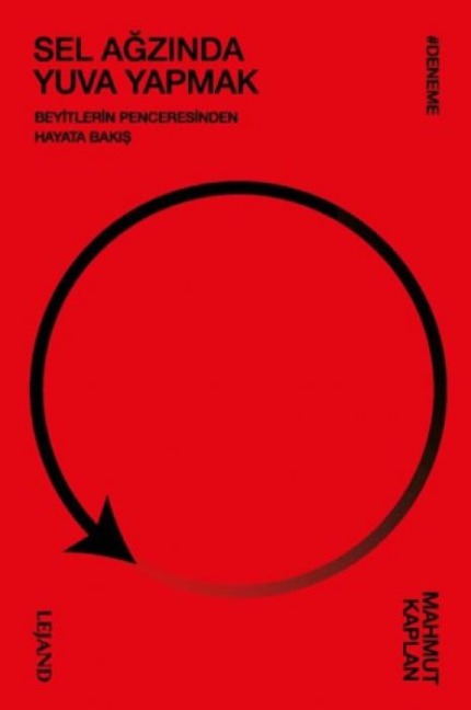 Sel Agzinda Yuva Yapmak - Mahmut Kaplan