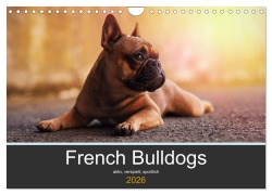 Cover-Bild zum Titel 'French Bulldog aktiv, verspielt, sportlich (Wandkalender 2026 DIN A4 quer), CALVENDO Monatskalender' von 'Janina Block'