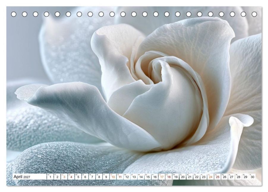 InsideView 9