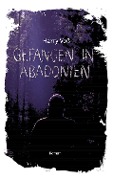 Cover-Bild zum Titel 'Gefangen in Abadonien' von 'Harry Voß'