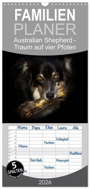 Familienplaner 2026 - Australian Shepherd - Traum auf vier Pfoten mit 5 Spalten (Wandkalender, 21 x 45 cm) CALVENDO - Andrea Mayer Tierfotografie