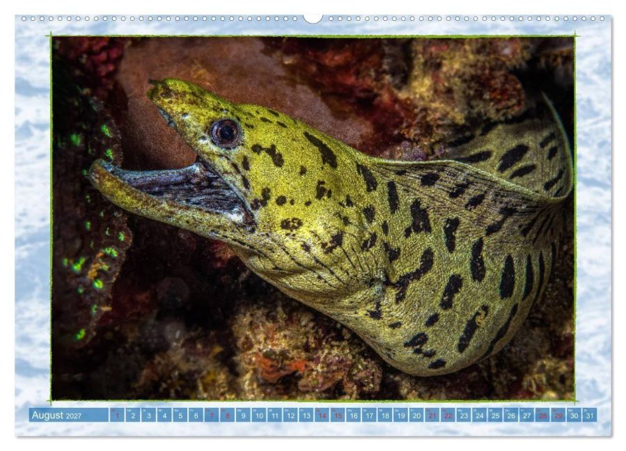 InsideView 13