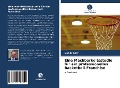 Cover-Bild zum Titel 'Eine Machbarkeitsstudie für ein professionelles Basketball-Franchise' von 'Conor Lilly'