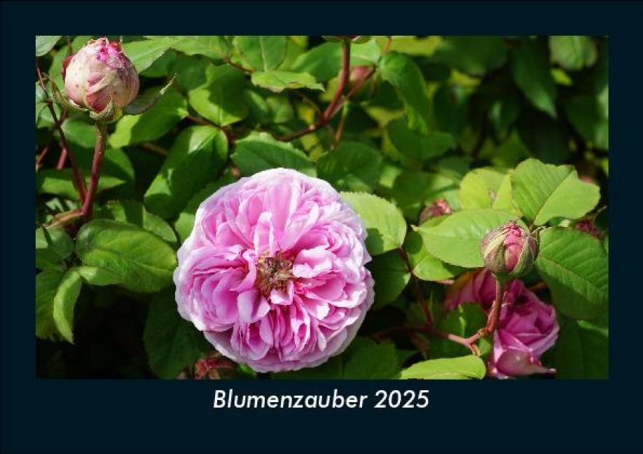 Blumenzauber 2025 Fotokalender DIN A5 - Tobias Becker