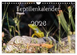 Cover-Bild zum Titel 'Reptilienkalender 2026 (Wandkalender 2026 DIN A4 quer), CALVENDO Monatskalender' von 'Fotos Michael Zill'