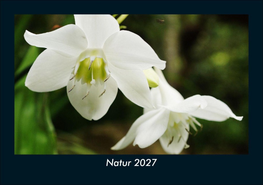 Natur 2027 Fotokalender DIN A5 - Tobias Schmitt, Kevin Heber