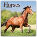 Horses - Pferde 2025 - 16-Monatskalender - Avonside Publishing Ltd