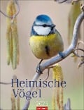 Heimische Vögel Kalender 2025 - 