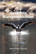 Cover-Bild zum Titel 'Gereimte Kurzgeschichten' von 'Hans-Jürgen Spanuth'