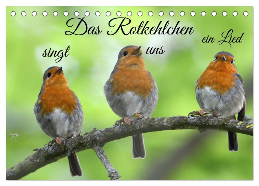 Das Rotkehlchen singt uns ein Lied (Tischkalender 2026 DIN A5 quer), CALVENDO Monatskalender - Rufotos Rufotos