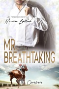 Cover-Bild zum Titel 'Mr. Breathtaking' von 'Lisa Torberg, Monica Bellini'