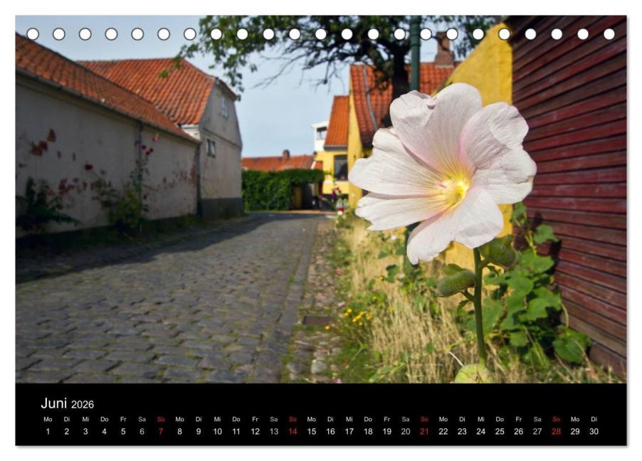 InsideView 11